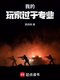 我的玩家过于专业